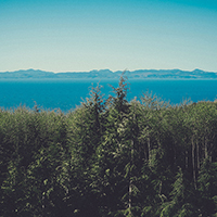 代充平台推荐的短信轰炸业务网