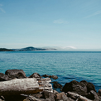 小七手机号在线网页轰炸