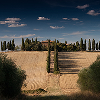 免费网络电话呼叫系统